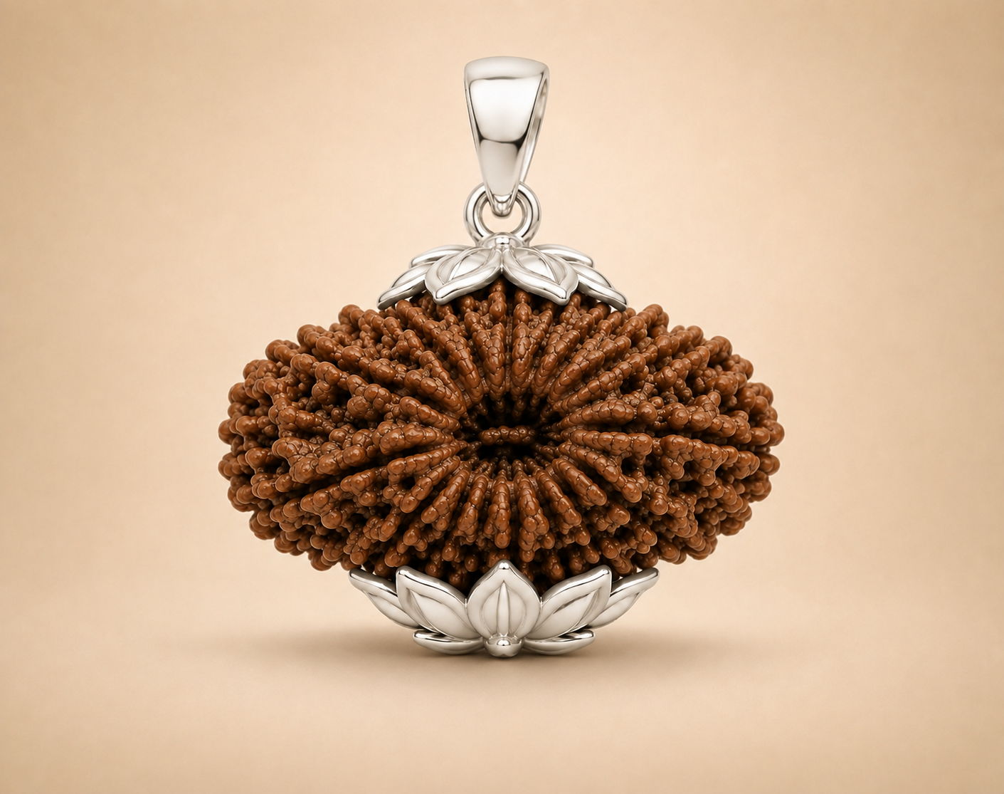 16 Mukhi Rudraksha (Nepal Origin)